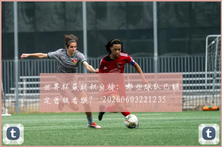世界杯最新积分榜：哪些球队已锁定晋级名额？_20260603221235